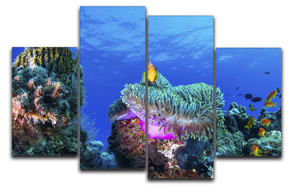 Sea Life 4 Split Panel Canvas