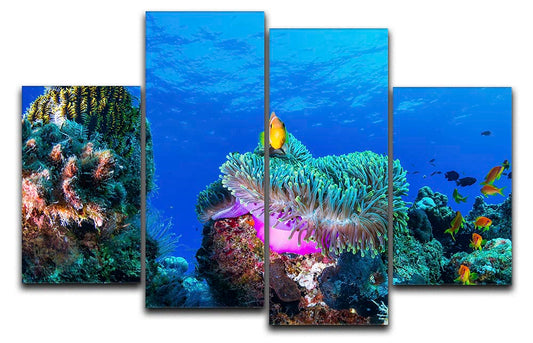 Sea Life 4 Split Panel Canvas