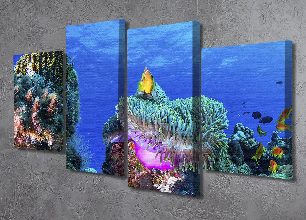 Sea Life 4 Split Panel Canvas