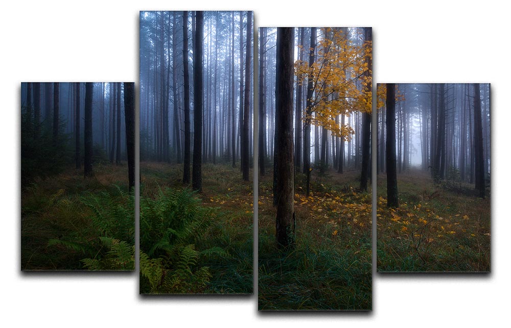 The Dark Light 4 Split Panel Canvas