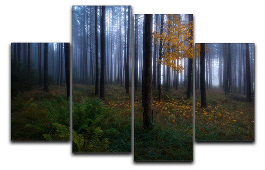 The Dark Light 4 Split Panel Canvas