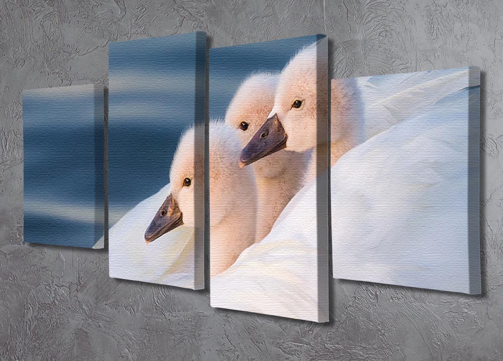 Three White Swans 4 Split Panel Canvas