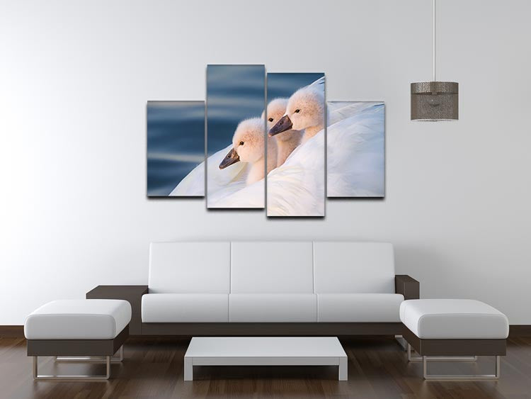 Three White Swans 4 Split Panel Canvas