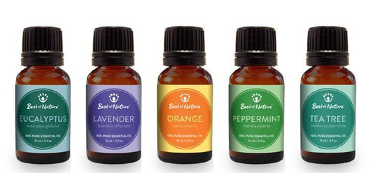 Aromatherapy Gift Set